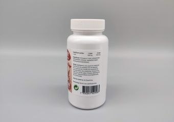 healthwell lysin 500 5